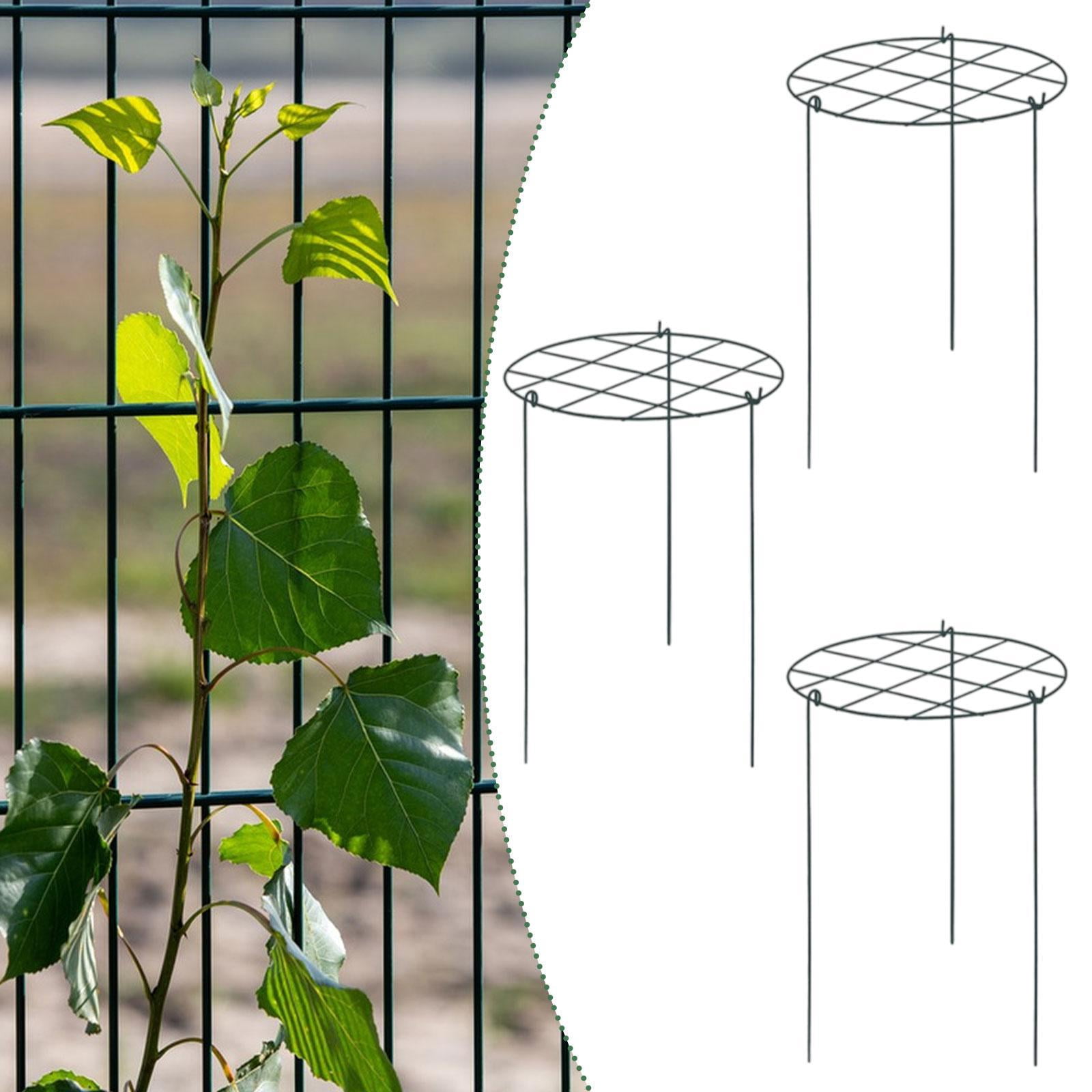 simhoa 3 Pieces Peony Cages and Supports Climbing Trellis Portable Metal Sturdy Garden Plant Support Stakes for Flower Outdoor Plant Grid
