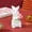 B, variant on HuiXinOu Outdoor Lifelike White Bunny Statue, Cute Small Rabbit Figurine for Garden, Yard, Lawn, Patio, Spring Easter Home Decor