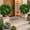 Green 1PC, variant on Artificial Boston Fern Bushes 36 Fronds Faux Plastic Green Fern Plants, UV Resistant Fake Greenery For Indoor Hanging Basket Porch Garden Home Decor.23.62*22.04 In(1PC)