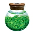 thumbnail image 6 of WaterPlants- Create Your Own Lush and Soothing Aquasacape Terrarium Starter Kit, Indoor Plant Glass Globe Terrariums with Powerful 3 LED Light and Complete Supplies, Just Add Water!, 6 of 9