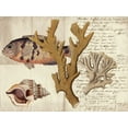 thumbnail image 2 of Vision Studio 32x25 White Modern Wood Framed Museum Art Print Titled - Sealife Journal I, 2 of 4