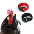 thumbnail image 4 of Walbest 2 Pack Chicken Collars Anti Crow Noise Free Rooster Belt Adjustable Buckle Poultry Ducks Collar, 4 of 6