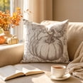 thumbnail image 2 of Btomtd Pumpkin Throw Pillow Cover 18 x 18 Inch, Fall Thanksgiving Couch Pillow Cases, Decorative Cushion Cover for Sofa Porch, Gray, 2 of 6