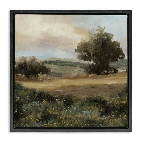 Stupell Industries Vast Country Terrain Landscape & Nature Painting Black Floater Framed Canvas Art Print Wall Art, 18 x 18