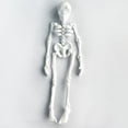 thumbnail image 1 of Uuiauoio Poseable Skeleton Fridge Magnet with Movable Joints, Articulated Halloween Decor for Kitchen, Office, and Locker, Fun Gothic Style Refrigerator Accessory with Strong Magnetic Hold, 1 of 4