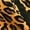 leo, variant on Fluory Muay Thai Shorts Leopard Print Pants Fight shorts Boxing Shorts embroidery patches