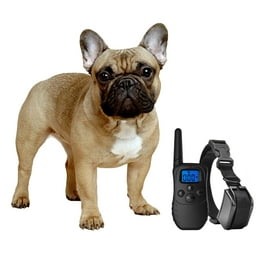 Manfiter Waterproof Dog Training Collar Rechargeable Vibration Shock for All Dogs Walmart