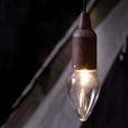 thumbnail image 1 of Bombilla De Luz Para Acampar Bombilla de camping LED COB Linterna de camping vintage Carga micro USB (6070W) Sywqhk Para Estrenar, 1 of 8