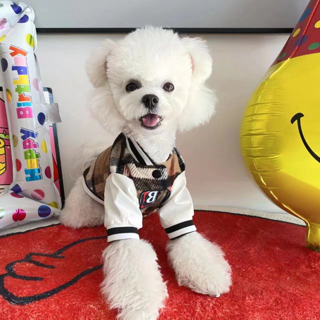 Ropa para perros Invierno Lana Osos Teddy Chai Perro Pelo de mascota Chaqueta gruesa Abrigo