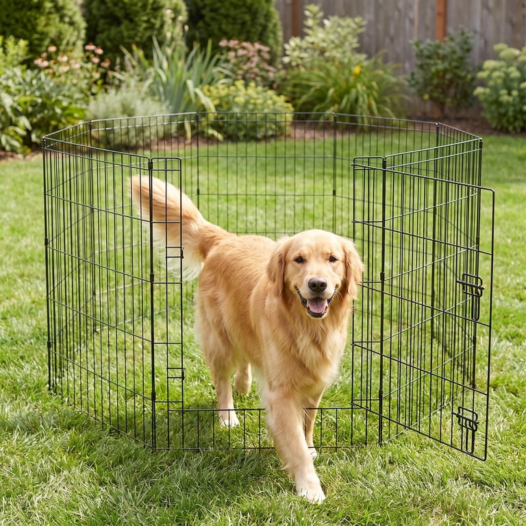 Vibrant Life 8-Panel Wire Playpen, 36" Tall photo 3