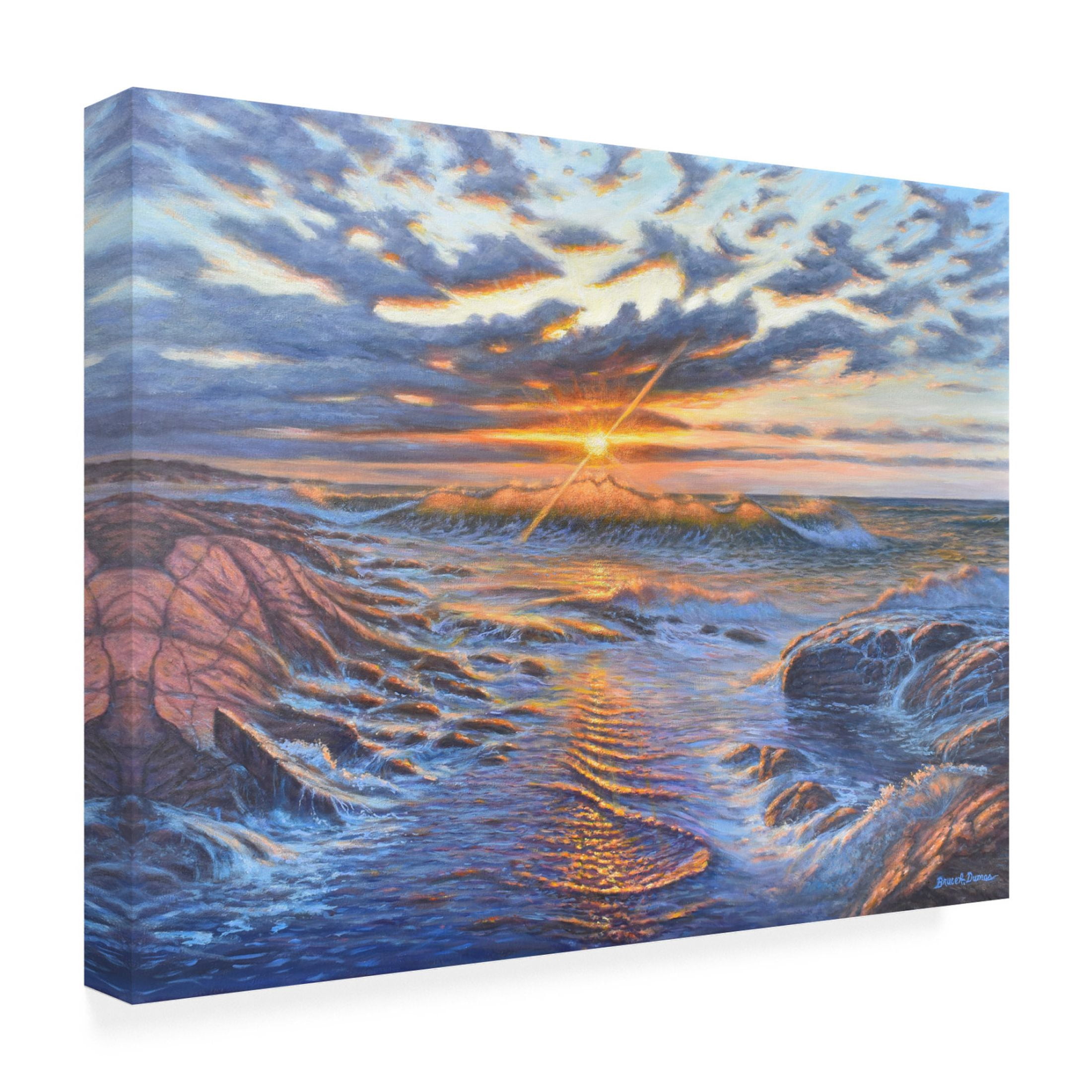 Canvas Wall Art - Bruce Dumas 'Symphony' Wall Art for Living Room, Bedroom, or Office Décor by Trademark Fine Art - 47 x 35 Inches