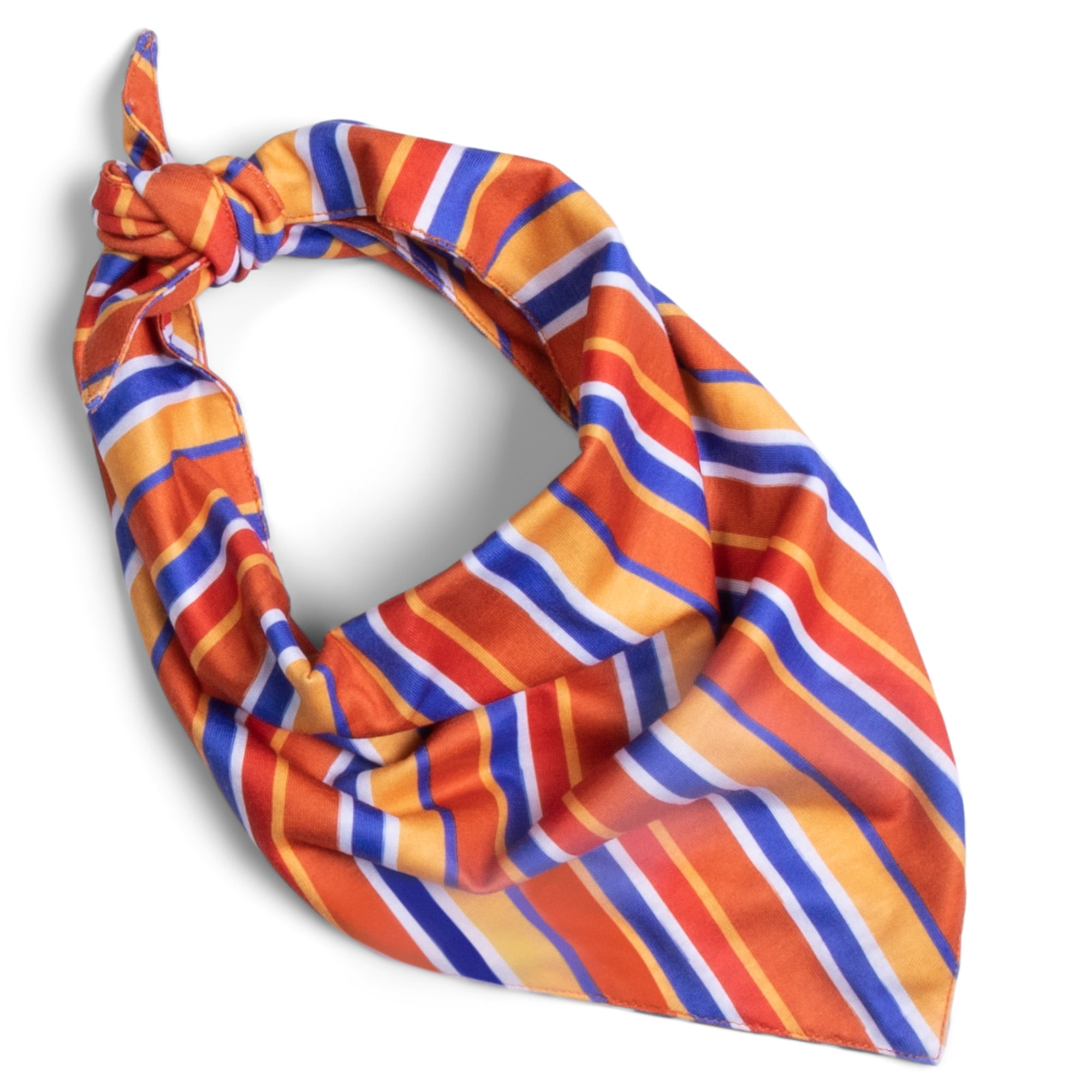 (4 pack) The Dodo Striped Dog Bandana, Multicolor, One Size Pet Apparel