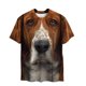 thumbnail image 2 of Tops para hombre, blusas y camisas de cuello redondo y manga corta para hombre, blusas casuales deportivas con estampado de perros y animales divertidos para hombre, camisas vintage de cuello redondo,, 2 of 8