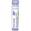 Boiron Arnica Montana 200CK, Homeopathic Medicine for Muscle Pain, Stiffness, Swelling From Injuries, Bruises, 80 Pellets