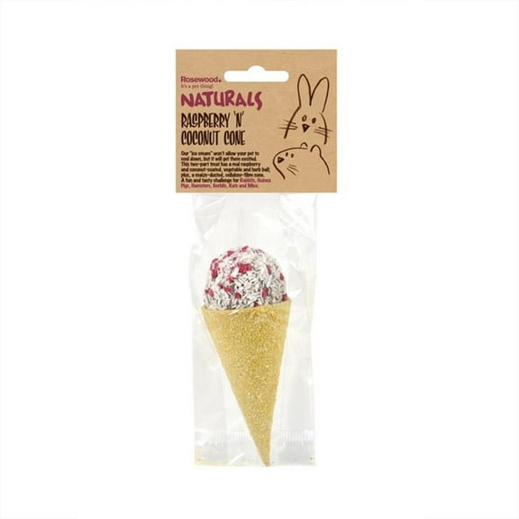 Naturals Raspberry n Coconut Cone Treat for Small Animal Treats Case of 6