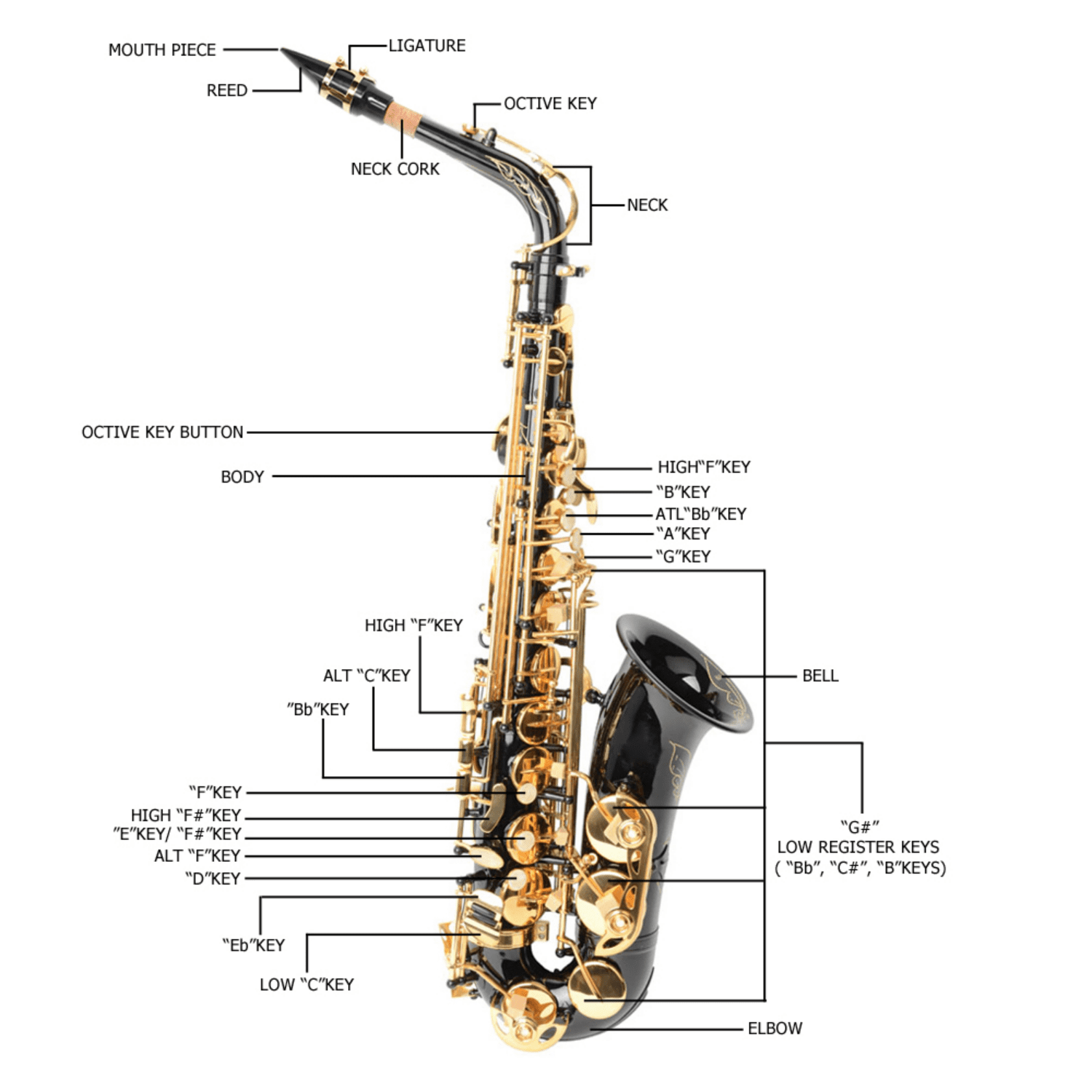 Hassch Brass Eb Saxophone with Box and Strap, Sax with Lubricants, Gloves, Cleaning Cloth and Cleaning Brush for Beginners, Black