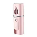 Facial Mister Mini Portable Rechargeable Handy Face Humidifier Facial Sprayer Skin Care Machine for Face Hydrating Daily Makeup (Pink)