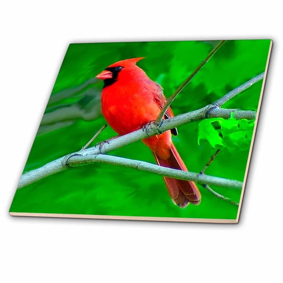 3dRose, Red Cardinal, 12 Inch Ceramic Tile