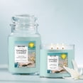thumbnail image 5 of Yankee Candle x Reese’s Book Club, Coastal Cliffhanger, Summer Scented Candle, Sea Daffodil Scent, Solar Florals Scent, 22oz Large Jar Candle with up to 150 Hours Burn Time, Giftable, 5 of 8