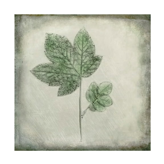 Trademark Fine Art Cicek Kiral Before The Decay Canvas Wall Art