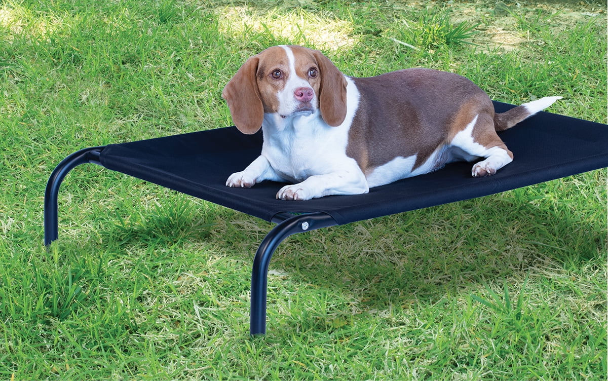 Pet Champion Elevated Dog Bed for Indoor & Outdoors, Blue, Large