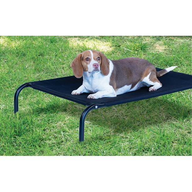 Pet Champion Elevated Dog Bed for Indoor & Outdoors, Blue, Large