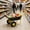Yellow + Black, variant on GDF Studio 35 Liter Two-Wheeled Garden Barrow, Leakproof Utility Cart with Pneumatic Wheels, Gray and Black