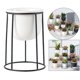 thumbnail image 5 of Macetas suculentas, macetas pequeñas de plantas suculentas blancas de 3,6 pulgadas con soporte de Metal, ideales para la decoración del escritorio de Soporte negro shamjiam macetas suculentas, 5 of 8