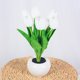 thumbnail image 4 of Luces Nocturnas Lámpara de mesa de lectura segura con luz de escritorio de cabecera de tulipán LED para regalo de San Valentín de boda, 4 of 8