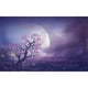 thumbnail image 1 of Taladro Pintura Diamante (DF4276) 5D DIY Full Pleasant View Punto de Cruz (Scenery03) 20X30cm Hugtrwg Para estrenar, 1 of 1