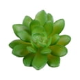 thumbnail image 1 of 10x Fake Succulents Small Vivid Useful Simulated Plants Multi-functional Lifelike Photo Props for Household Yards Lawn Flowerpot Type 15, 1 of 9