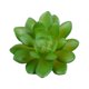 thumbnail image 1 of 10 Piezas de suculentas falsas Advancent Flores artificiales tipo 15 PVC, 1 of 6