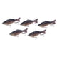 thumbnail image 5 of Paquete de 5 señuelos de pesca Swimbaits, Crankbaits, señuelos de natación para bagres, crappies, truchas, salmones, agua dulce y salada., 5 of 9