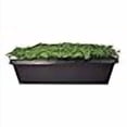 thumbnail image 4 of Bootstrap Farmer 1010 Trays 10 Pack Extra Strength No Holes Seed Starting Microgreens, 4 of 4