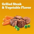 thumbnail image 5 of Pedigree Dry Puppy Food, Puppy Dry Food with Grilled Steak & Vegetable Flavor, 3.5 lb. Bag, 5 of 10