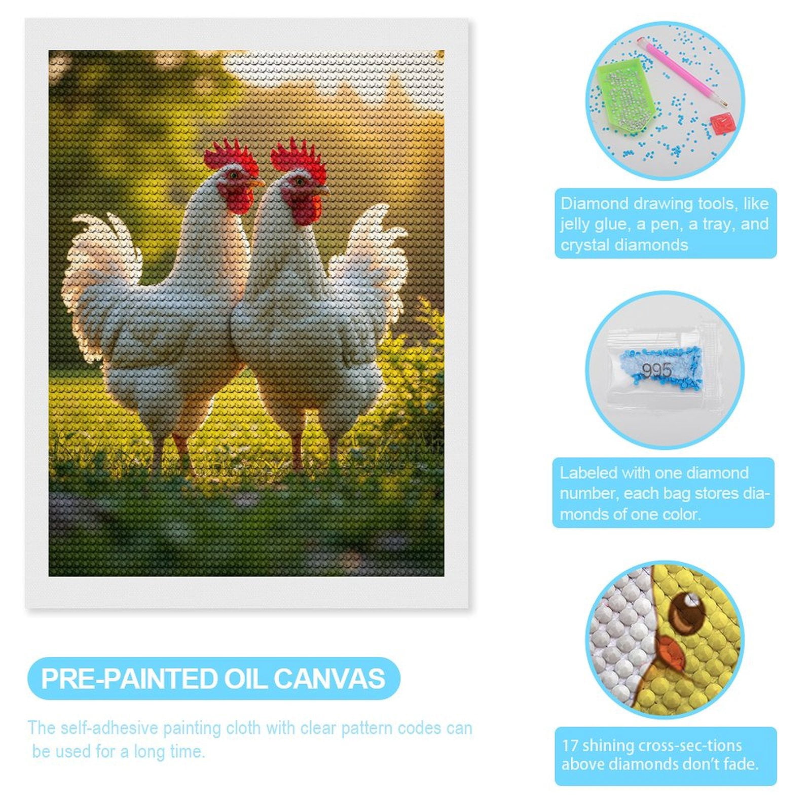 Diamond Art Kits for Adults, White Chickens In Sunlit Meadow 5D Diamond Painting Kits for Adults Beginners, DIY Full Drill Diamond Painting, Gem Art and Crafts 12x16