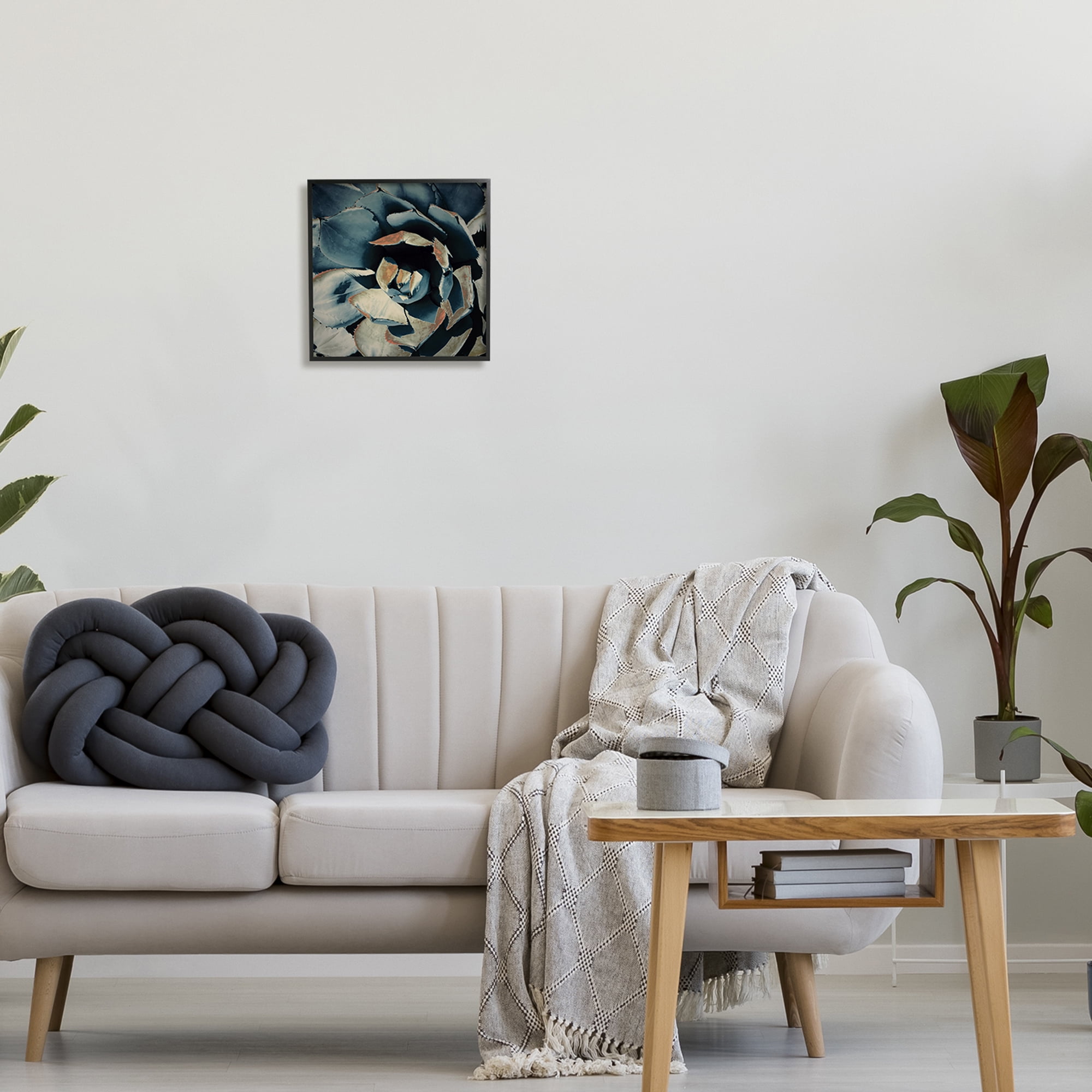 Stupell Industries Modern Succulent Leaves Botanical & Floral Painting Black Framed Art Print Wall Art, 12 x 12