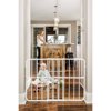 Regalo - Guardian Expandable Metal Gate