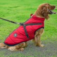 thumbnail image 2 of Large Pet Dog Jacket With Harness Winter Warm Dog Clothes Waterproof, 2 of 4
