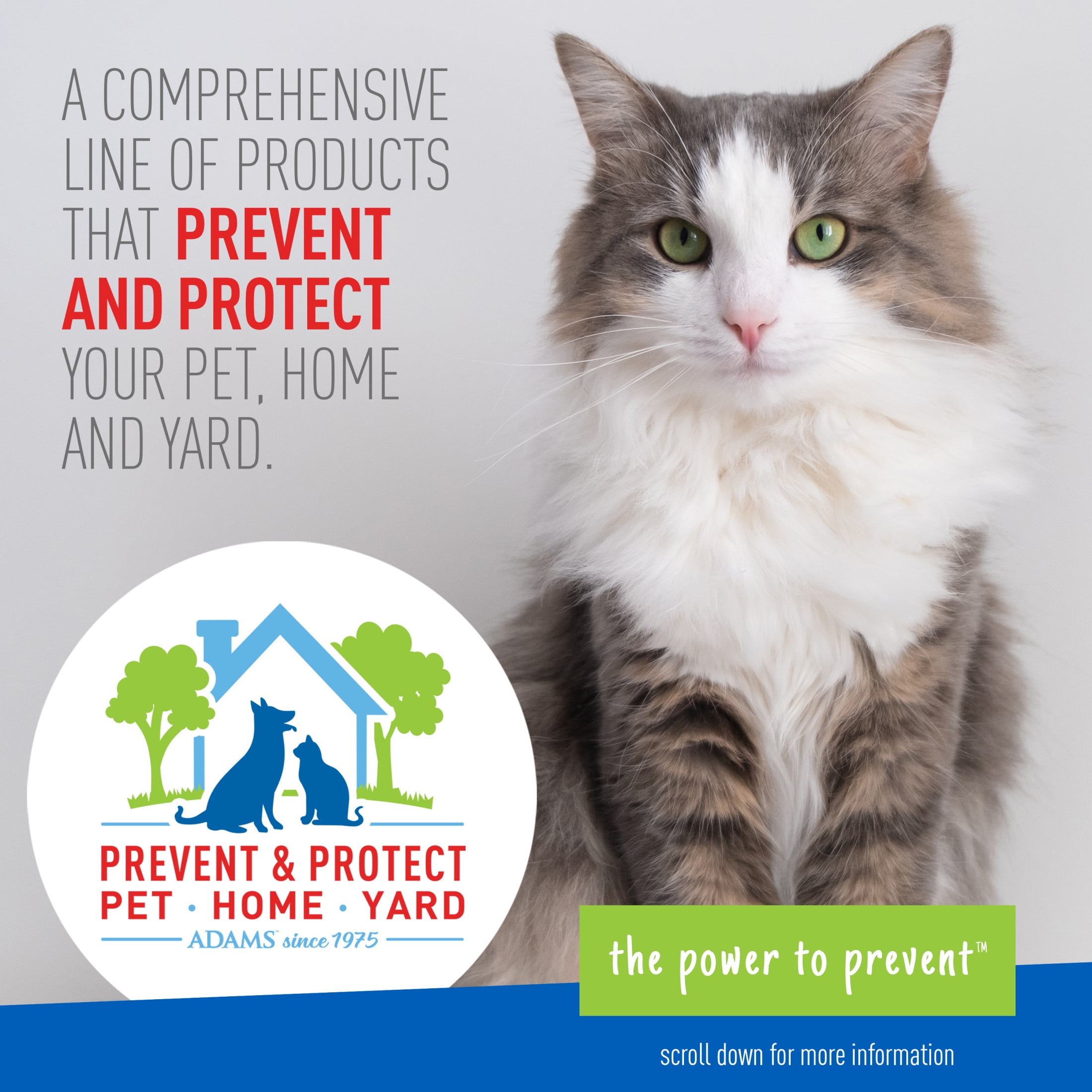 Adams Plus Collar for Cats 2 Each Walmart