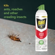 Raid Essentials Indoor Ant and Roach Killer Aerosol, 10 oz