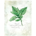 thumbnail image 2 of Robinson, Carol 12x14 White Modern Wood Framed Museum Art Print Titled - Fresh Basil, 2 of 4
