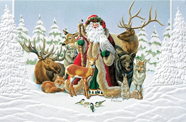 16 Embossed Boxed Christmas Cards Santa and Animals 