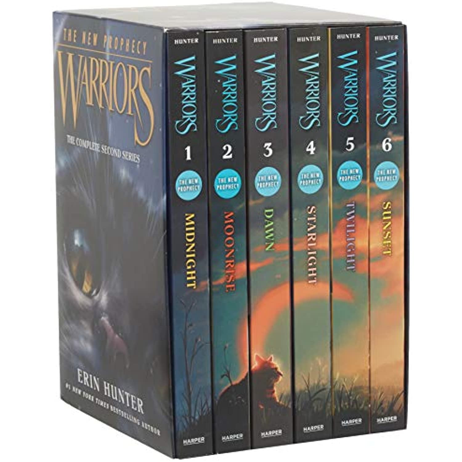 Warrior Cats Volume 1 to 12 Books Collection Set (The Complete First Series  (Warriors: The Prophecies Begin Volume 1 to 6) & The Complete Second Series  (Warriors: The New Prophecy Volume 7