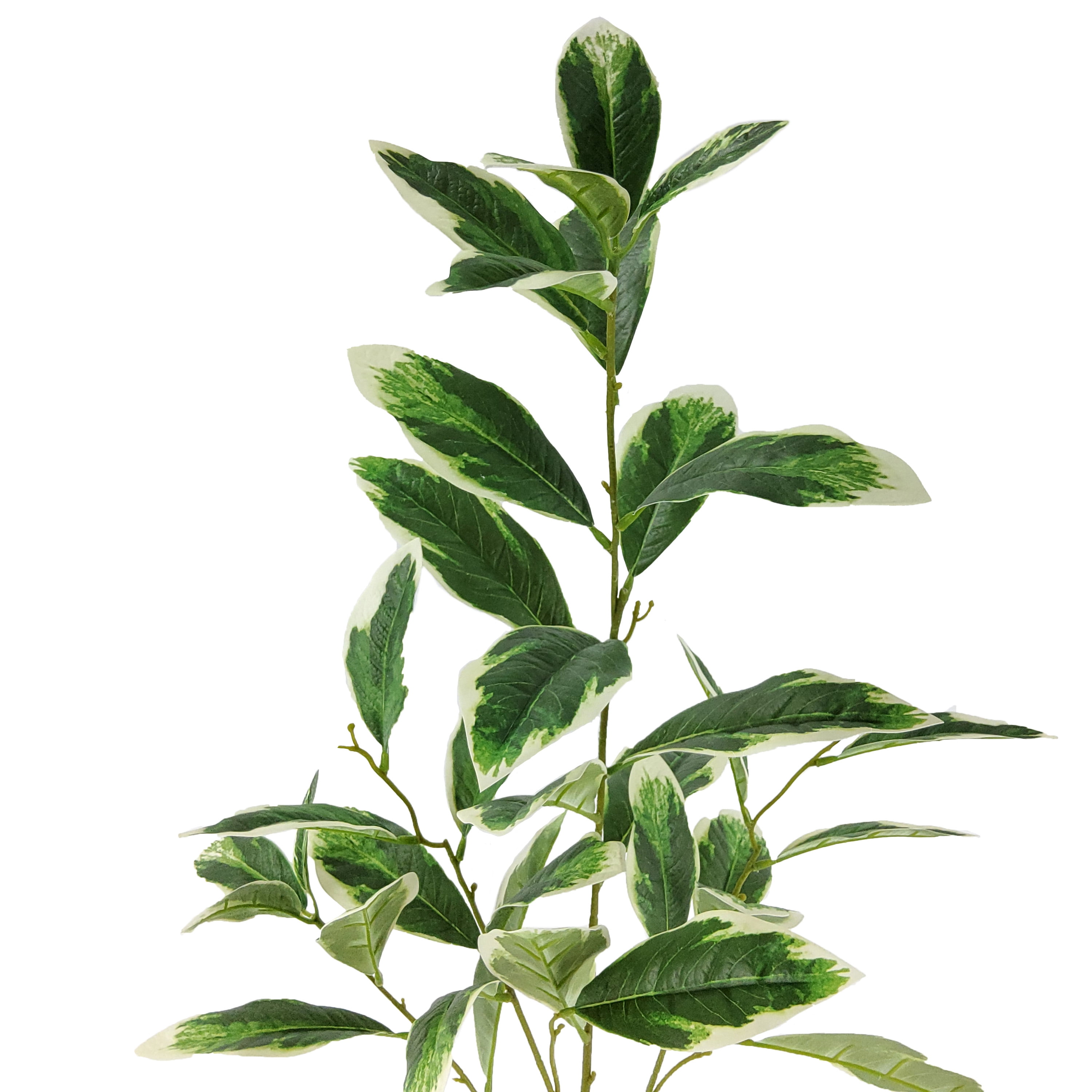 Mainstays 40.5" Indoor Artificial Foliage Stem, Peperomia, Green and White Color.