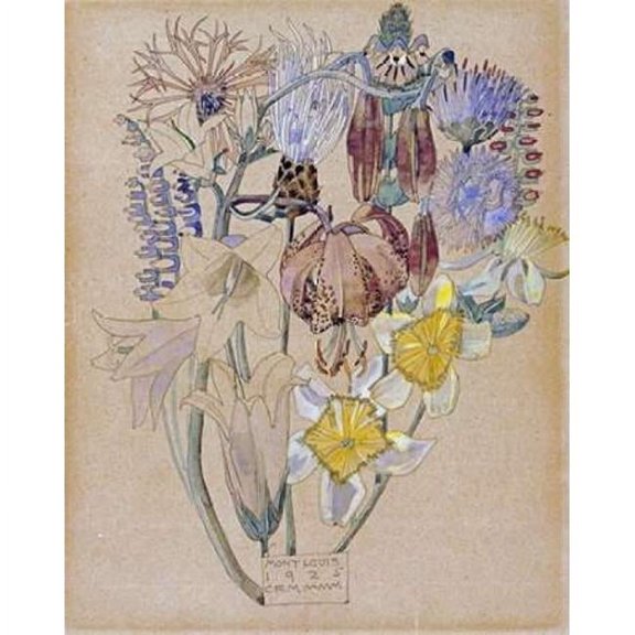 Mont Louis - Flower Study Poster Print by Charles Rennie Mackintosh