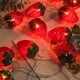 thumbnail image 5 of Cadena de luces de frutas, 20 LED, 3 m, cadena de luces de frutas y fresas, lámpara de fresa, funciona con pilas, decoración interior y exterior, luces para el hogar, patio, boda, fiesta de, 5 of 5