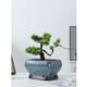 thumbnail image 5 of Macetas de cerámica for plantas de interior con orificios de drenaje, modernas macetas for uso en interiores y exteriores., 5 of 6