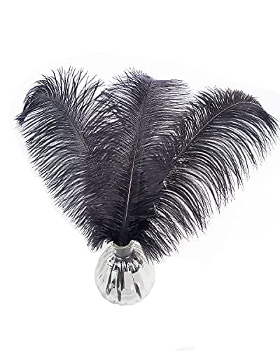 Happy Feather 16-18 inch Black Ostrich Feathers Craft for Wedding Party Centerpieces Home Decoration DIY Craft Pack of 20 