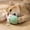Blue [Flower Bell Ball], variant on Self-Entertaining Cat Toy: Dopamine Cotton Rope Chew Ball with Bell for Teething & Energy Burning